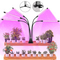 Grow Light with 3 Modes LED Lamp